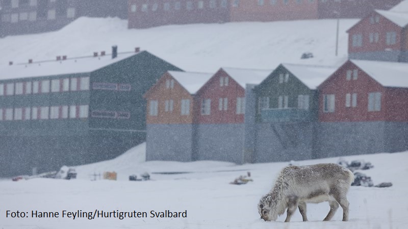 Kulturhistorisk mte med Longyearbyen